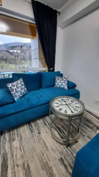 Apartament Erika Premium Sinaia Exterior photo