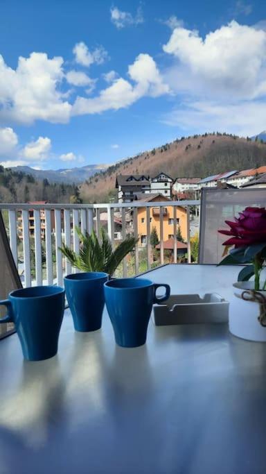 Apartament Erika Premium Sinaia Exterior photo